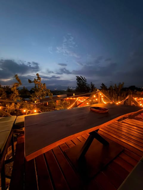 Night, Garden, Entertainment, Entertainment