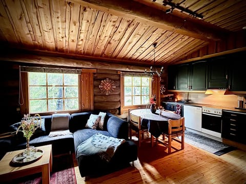 Kitchen or kitchenette, Living room, Seating area, Dining area, dishwasher, pet friendly, stove