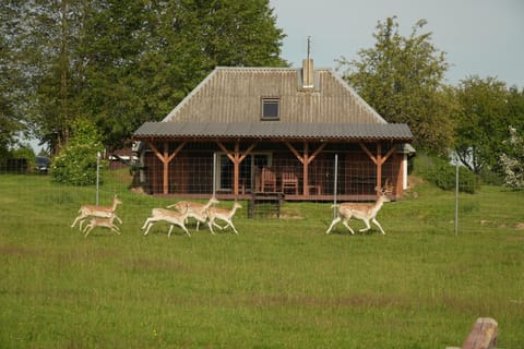 Property building, Animals