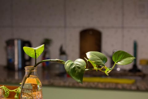 Kitchen or kitchenette, Communal kitchen