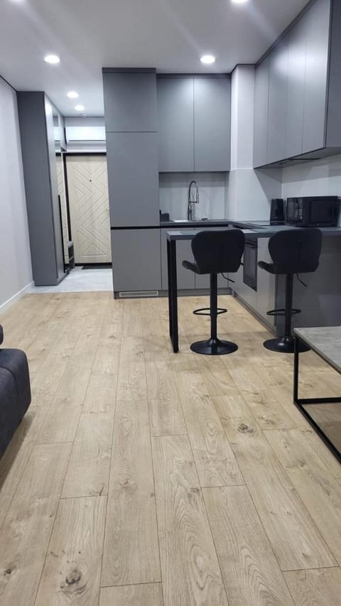 Kitchen or kitchenette, Dining area, oven, stove