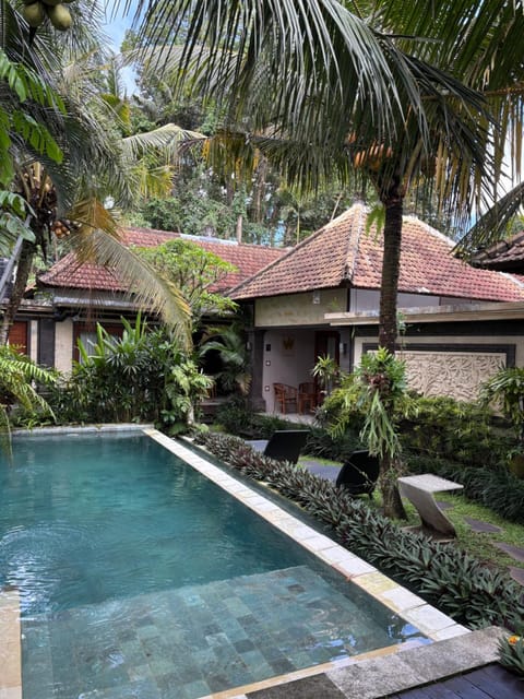 Day, Garden view, Swimming pool