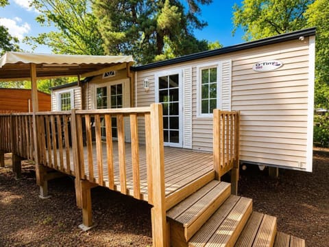 Property building, Day, Garden