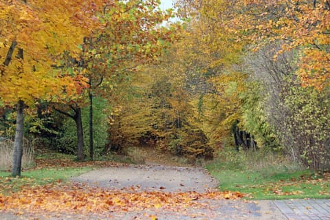 Garden, Decorative detail