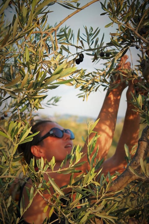 Staff, Autumn, Family