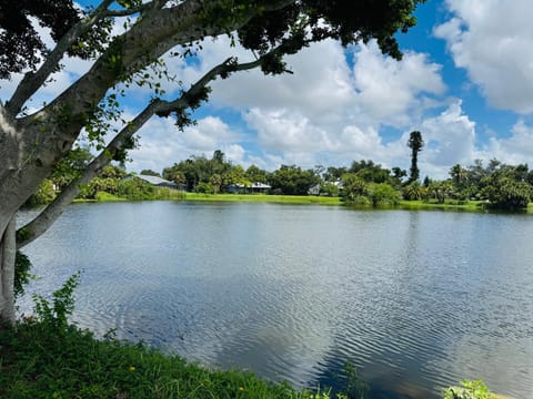 Lake view