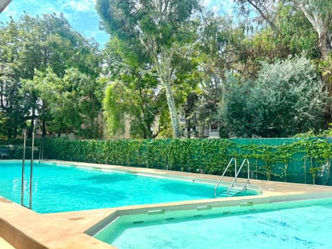 Spring, Day, Garden, Swimming pool