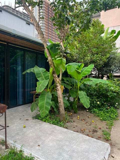 Property building, Garden view