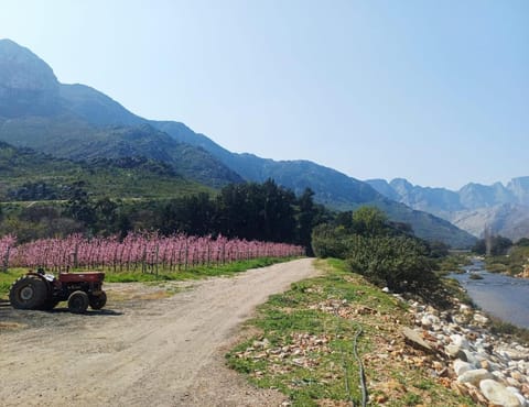 The River Siding Chalet in Western Cape