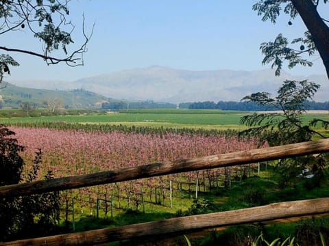 The River Siding Chalet in Western Cape