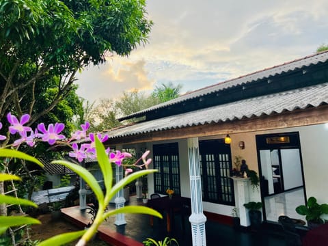 Property building, Garden, Garden, Garden view