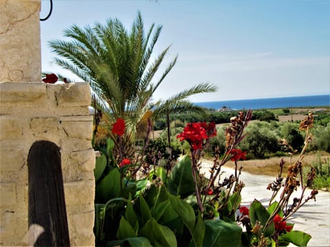 Villa Dioni House in Peyia