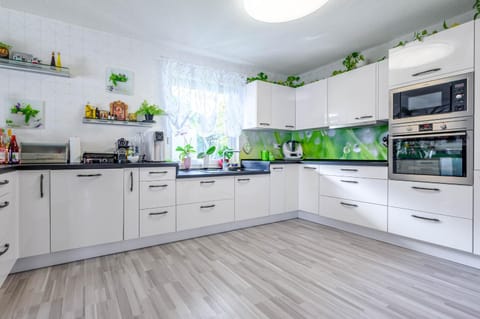 Kitchen or kitchenette, dishwasher, oven, stove, toaster