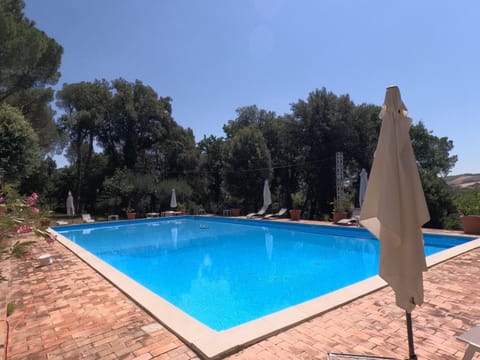 Day, Pool view, Swimming pool, sunbed