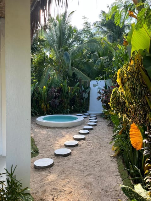 Garden, Swimming pool