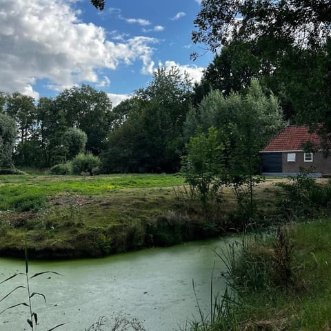 Day, Natural landscape