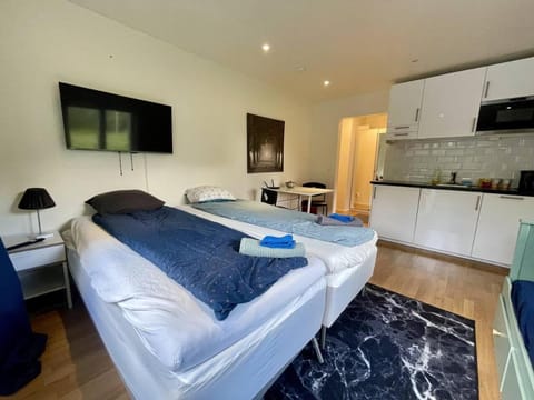 Bed, TV and multimedia, Kitchen or kitchenette, Photo of the whole room