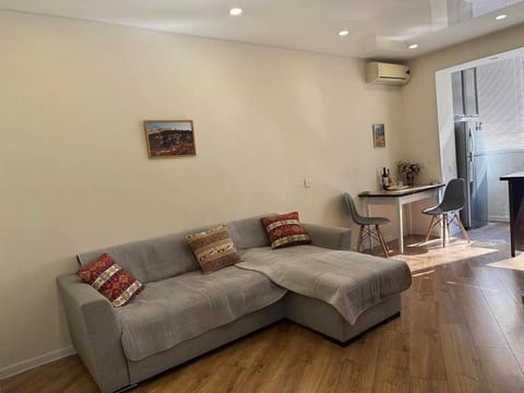 Bed, TV and multimedia, Kitchen or kitchenette, Living room, Photo of the whole room, Seating area, Bedroom, air conditioner
