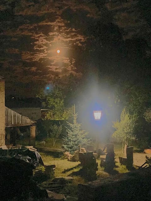 Night, Garden, Garden view