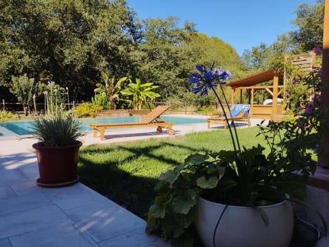 Garden, Garden view, Swimming pool