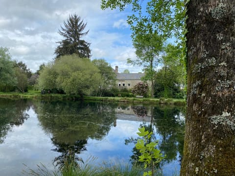 Lake view