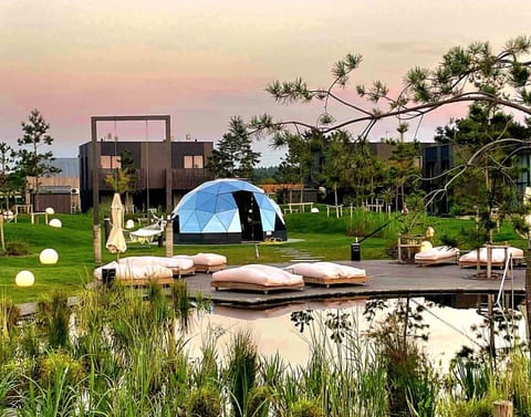 Day, Garden, Garden view, Pool view, Swimming pool