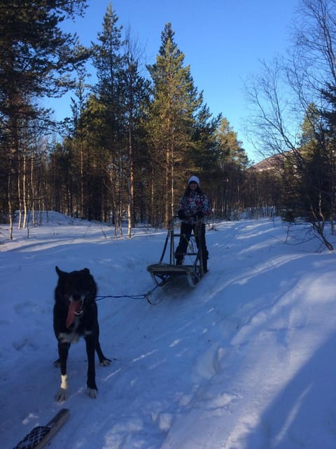 Vestvatn - Arctic Cabins Cabin in Nordland, Norway