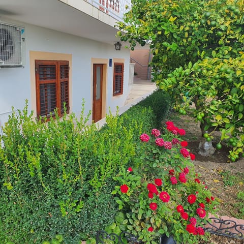 Apartment Stipe Apartment in Šibenik-Knin County, Croatia