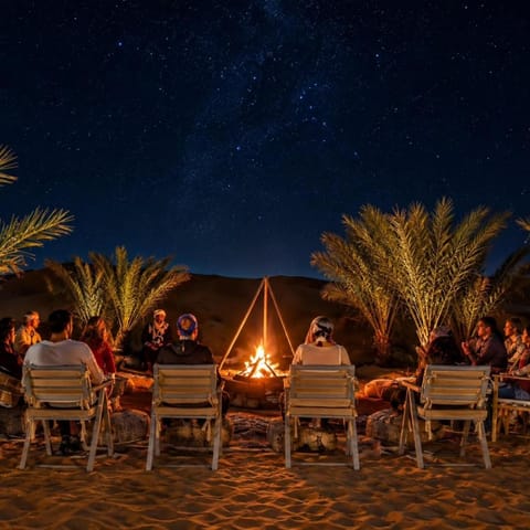 Night, People, Natural landscape, group of guests
