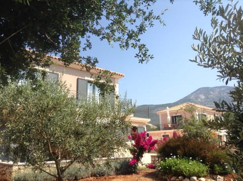 Day, Other, Garden view