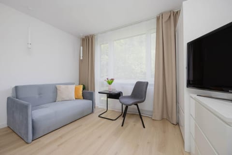 TV and multimedia, Living room, Seating area, Evening entertainment