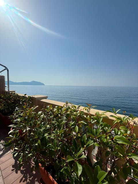 Sea view