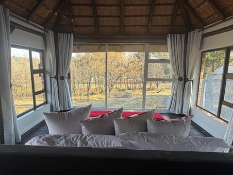Bed, View (from property/room), Photo of the whole room, Bedroom