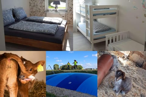 Animals, Bedroom, children