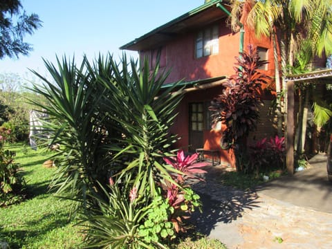 Property building, Day, Garden, Garden view