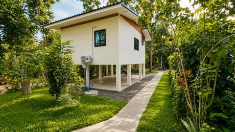 Property building, Spring, Day, Garden