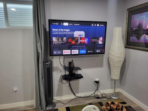 TV and multimedia