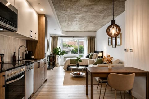 Kitchen or kitchenette, Living room, Seating area, Dining area, stove