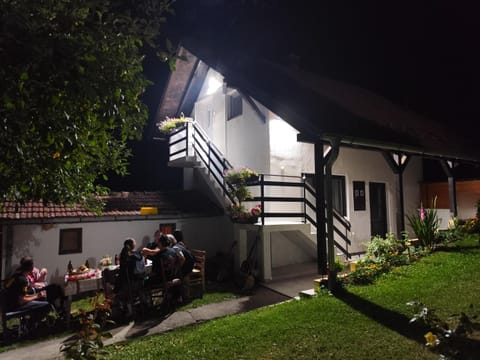 Property building, Night, Garden, group of guests