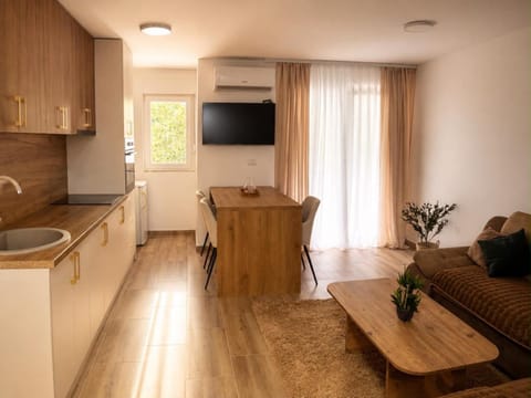 TV and multimedia, Kitchen or kitchenette, Living room, Seating area, Dining area