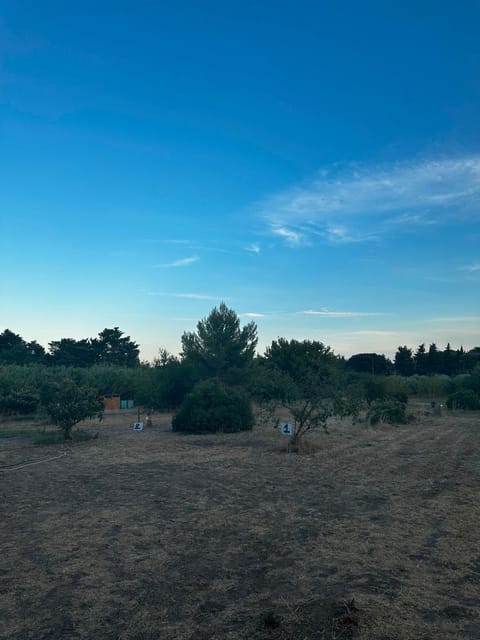 Natural landscape