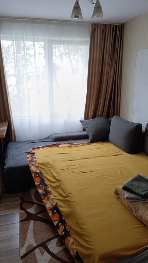 Bed, Living room, Photo of the whole room, Seating area, Bedroom