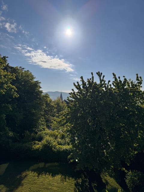 View (from property/room)