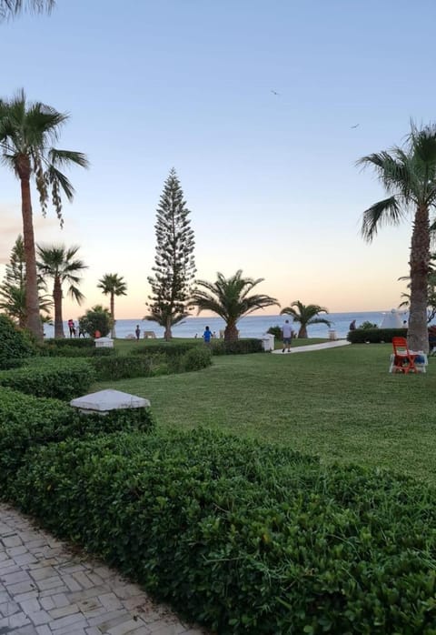 Property view
