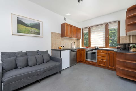 Kitchen or kitchenette, Seating area, dishwasher, stove