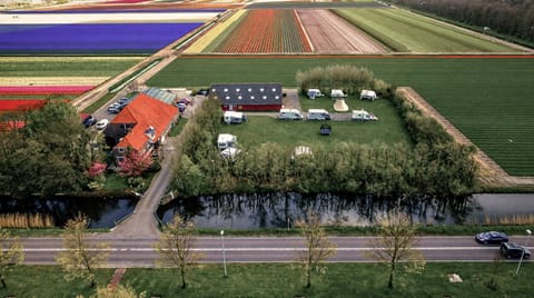 Spring, Day, Neighbourhood, Natural landscape, Bird's eye view, Location