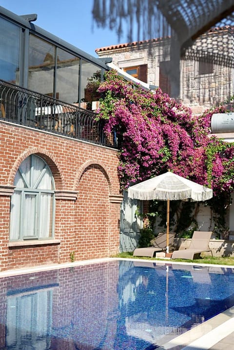 Pool view, Swimming pool