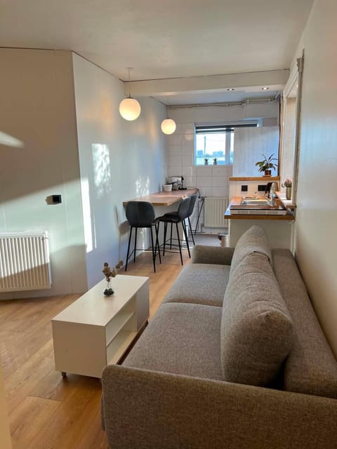 Kitchen or kitchenette, Living room, Seating area