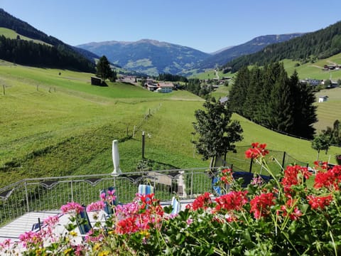 Natural landscape, Garden view, Mountain view