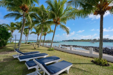 Natural landscape, Garden, Beach, Garden view, Sea view, sunbed